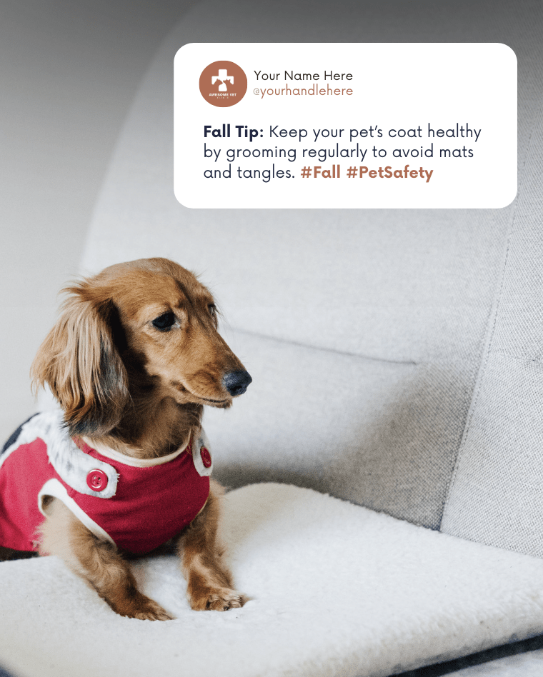 veterinary facebook post ideas